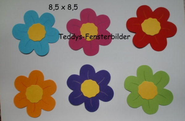 6 bunte Blüten