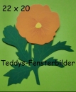 Stiefmütterchen orange